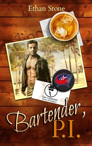Cover of the book Bartender, PI by Richard Baetens