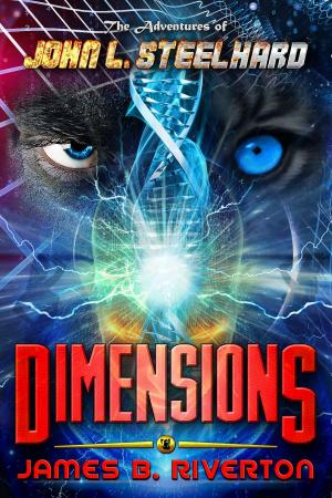 Book cover of Dimensions: The Adventures of John L. Steelhard, Book Five