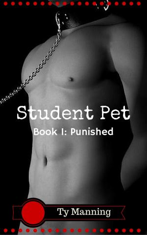 Cover of Student Pet Book 1: Punished