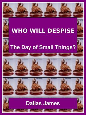 bigCover of the book Who Will Despise: The Day of Small Things? by 