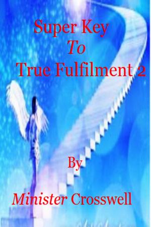 Cover of the book Super Key To True Fulfiment 2 by Stormy Froom