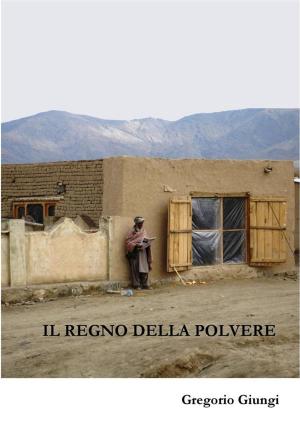 Cover of the book Il Regno della Polvere by John Pilge