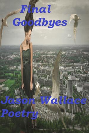 Book cover of Final Goodbyes