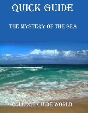 Book cover of Quick Guide: The Mystery of the Sea