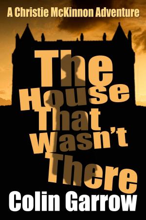 Book cover of The House That Wasn't There
