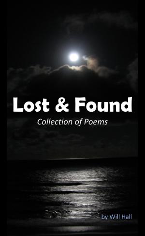 Cover of the book Lost & Found: Collection of Poems by Brandilyn Collins