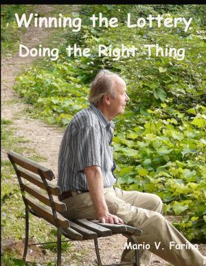 Book cover of Winning the Lottery Doing the Right Thing