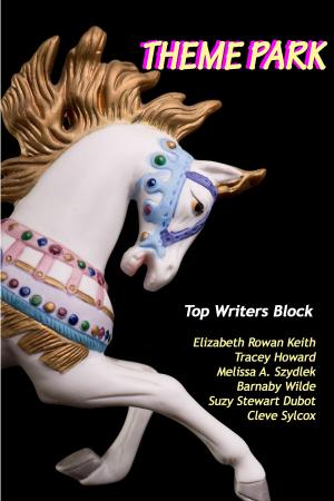 Cover of Theme Park by Top Writers Block,                 Cleve Sylcox,                 Barnaby Wilde,                 Suzy Stewart Dubot,                 Tracey Howard,                 Melissa Szydlek,                 Elizabeth Rowan Keith, Top Writers Block