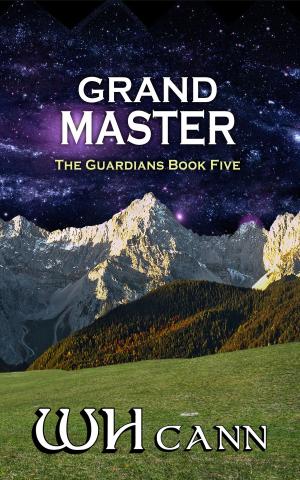 Cover of the book The Guardians Book 5: Grand Master by Stephen Arseneault