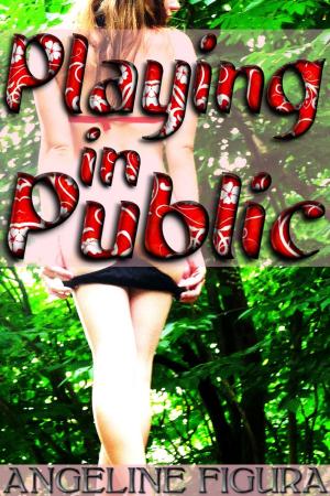 Cover of the book Playing in Public (Explicit Exhibitionism Erotica Bundle) by Kate Moore