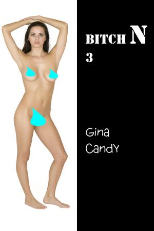 Cover of the book Bitch N 3 by Gina Candy