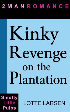 Book cover of Kinky Revenge on the Plantation