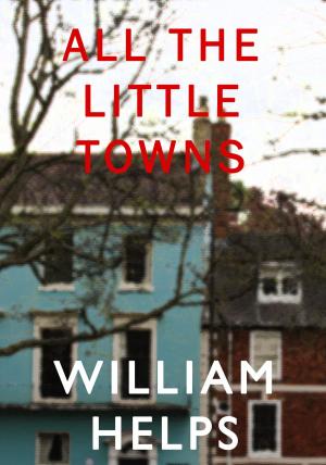 Cover of the book All The Little Towns by Laura Wright
