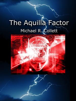 Cover of the book The Aquilla Factor by F. A. Ramnon
