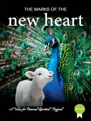 Cover of the book The Marks of The New Heart by Steven Richheimer, PhD