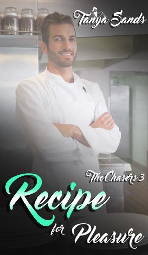 Book cover of Recipe for Pleasure