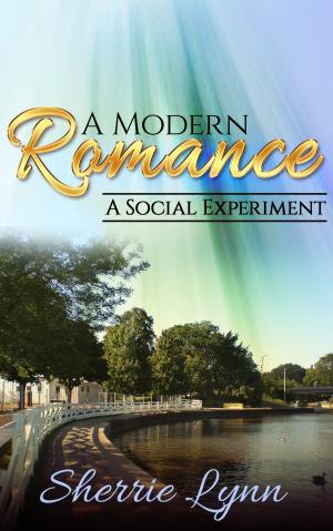 Cover of the book A Modern Romance 4 by Timothy Lasiter