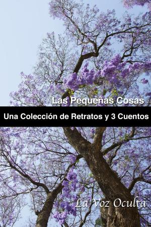 Cover of the book Las pequeñas cosas: una colección de retratos y tres cuentos by Gavriil Stiharul