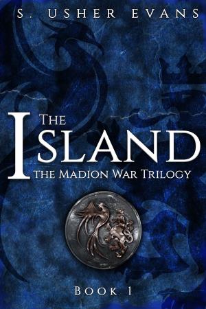 Cover of the book The Island by Carol Devine