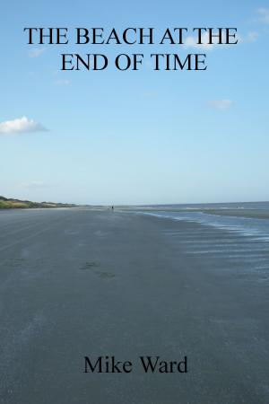Book cover of The Beach at the End of Time