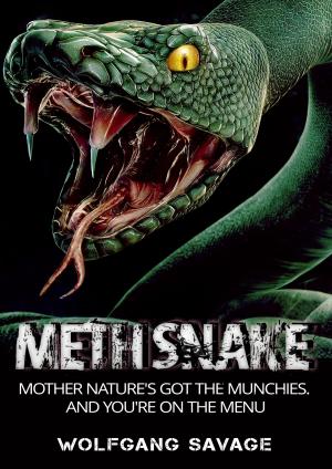 Cover of the book Methsnake by SC Harrison