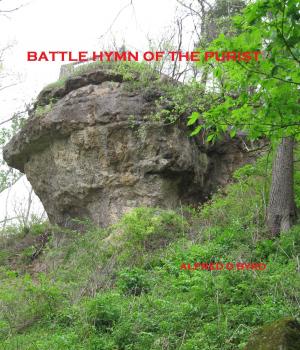 Cover of the book Battle Hymn of the Purist by Euan Mitchell