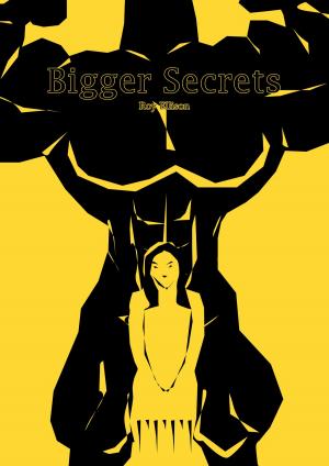 Cover of Bigger Secrets