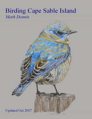 Book cover of Cape Sable Island: A Birding Site Guide