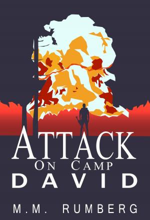 Cover of Attack on Camp David