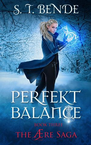 Cover of Perfekt Balance (The Ære Saga Book 3)
