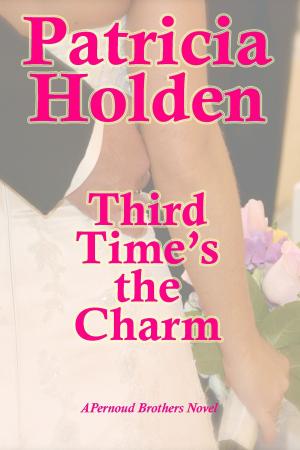 Cover of the book Third Time's the Charm by Teona Bell