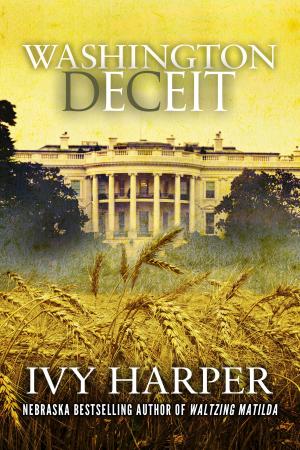 Cover of the book Washington, Deceit by Shona Widdry