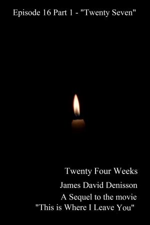 Book cover of Twenty Four Weeks: Episode 16 Part 1 - "Twenty Seven"