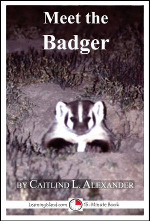 Cover of the book Meet the Badger: A 15-Minute Book for Early Readers by Dia L. Michels, Andrew Barthelmes