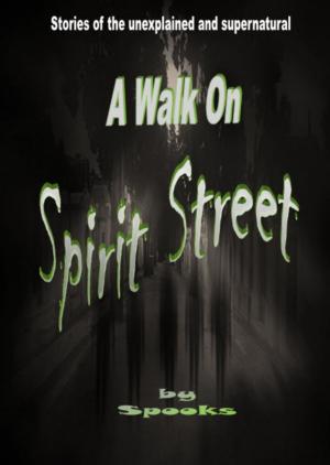 Cover of A Walk on Spirit Street
