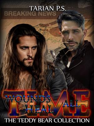 Cover of the book Time: Wounds All Heal by Elsa Wallace