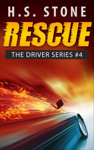 Cover of the book Rescue by Lauren Ritz