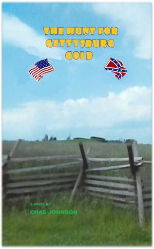 Cover of the book The Hunt For Gettysburg Gold by Warren Adams-Ockrassa