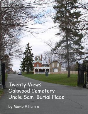 Book cover of Twenty Views Oakwood Cemetery Uncle Sam Burial