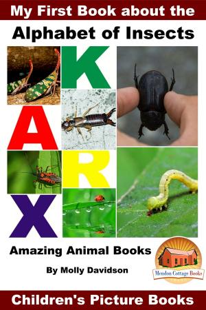Book cover of My First Book about the Alphabet of Insects: Amazing Animal Books - Children's Picture Books