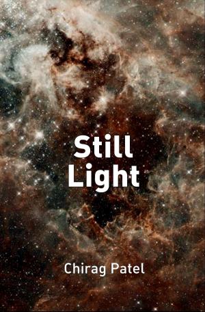 Book cover of Still Light: the First Ten Stories