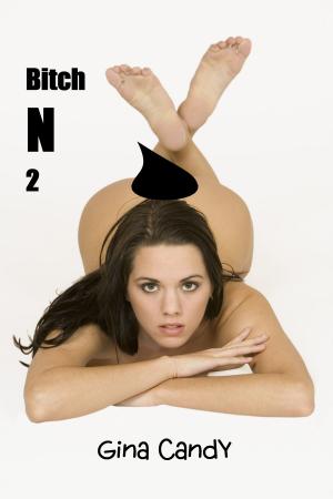 Cover of the book Bitch N 2 by Gina Candy