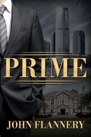 bigCover of the book Prime by 