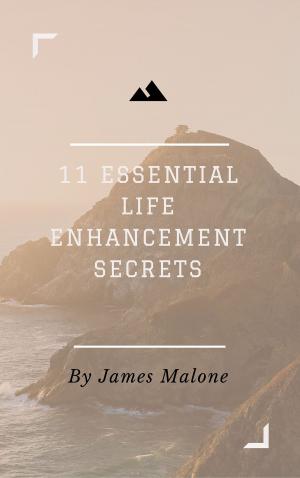 Cover of the book 11 Essential Life Enhancement Secrets by PK Kersey