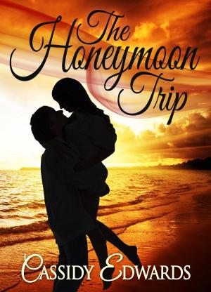 Cover of the book Honeymoon Trip by Electra Simms