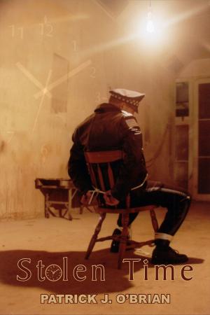 Cover of the book Stolen Time by Danp Hndrsn