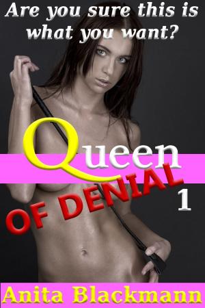 Book cover of Queen of Denial 1