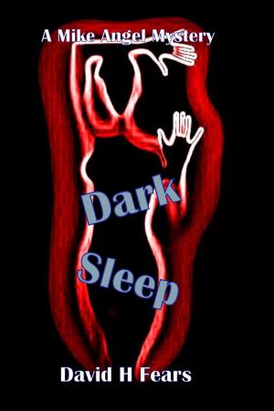 bigCover of the book Dark Sleep: A Mike Angel Mystery by 