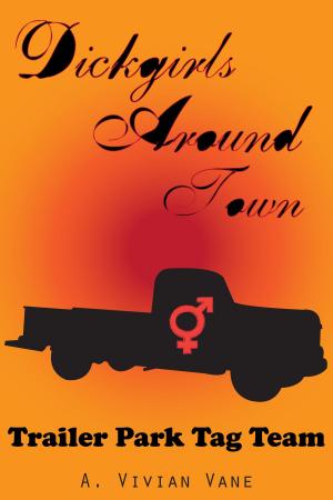 Cover of the book Dickgirls Around Town: Trailer Park Tag Team by A. Vivian Vane
