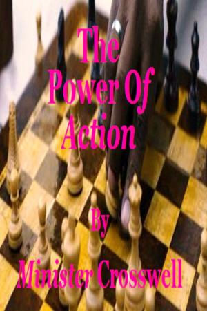 Cover of the book The Power Of Action by Nikki Starcat Shields
